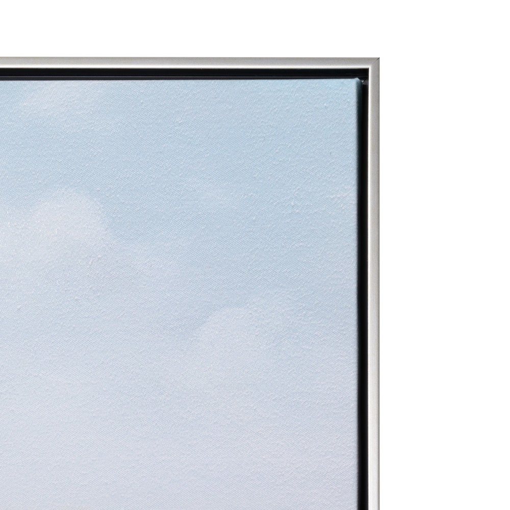 Cuadro impresión papagayo lienzo, 80x4,5x120 cm